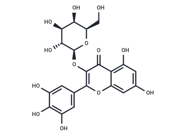 Myricetin 3-O-galactoside