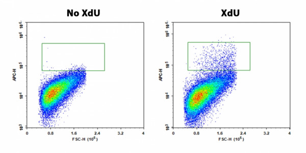 Bucculite(TM) Flow Cytometric XdU Cell Proliferation Assay Kit *Red Laser-Comptatible*