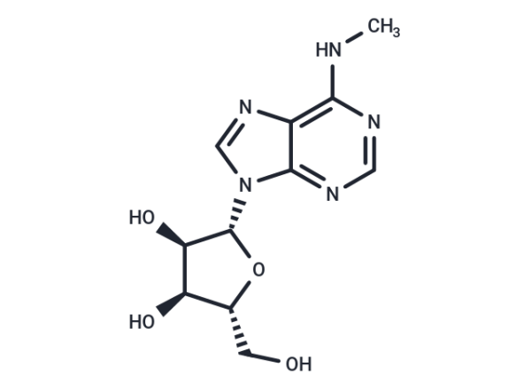 N6-methyladenosine