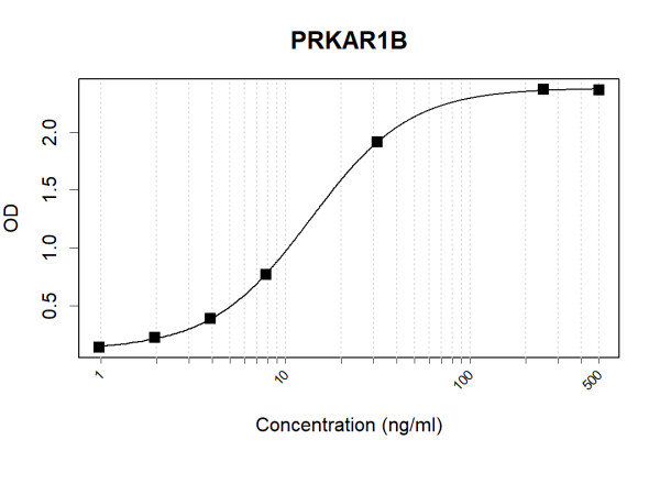 Anti-Human PRKAR1B Antibody Pair