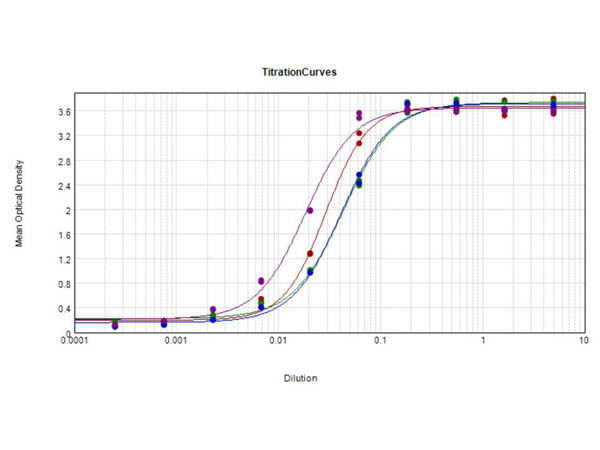 Anti-Guinea Pig IgG (H&amp;L) [Goat] Peroxidase conjugated