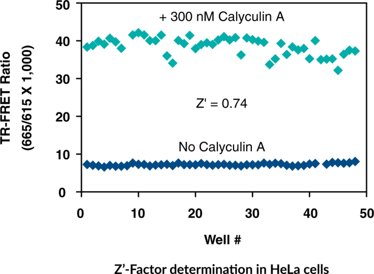 eIF2alpha (Phospho-Ser51) TR-FRET Assay Kit | Cayman Chemical | Biomol.com