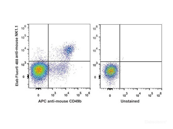 Anti-Mouse CD161/NK1.1 (AF488 Conjugated)[PK136], clone PK136