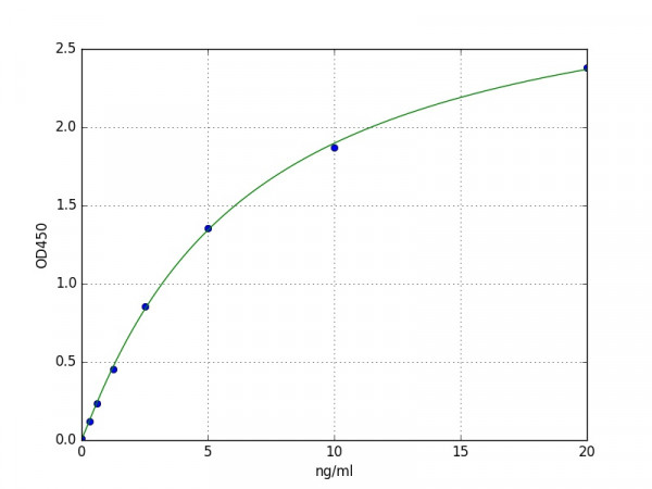 Human Fatty Acid Synthase / FASN ELISA Kit