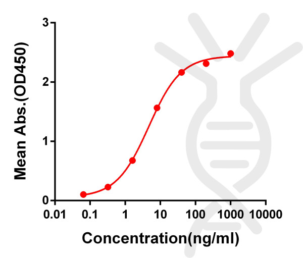 Anti-SARS-CoV-2 RBD antibody(DM54), Rabbit mAb