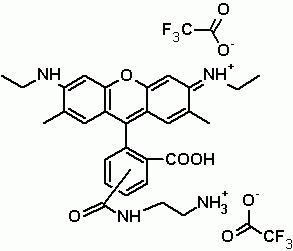5(6)-Caroxyrhodamine 6G ethylenediamine