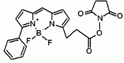 Bodi Fluor(TM) R6G NHS Ester (equivalent to Bodipy(R) R6G, NHS Ester)