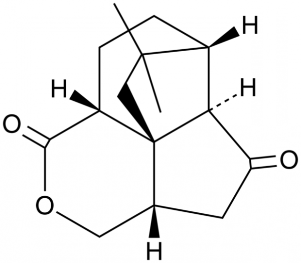Quadrone