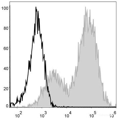 Anti-Mouse MHC II (I-A/I-E) (PE/Cyanine5 Conjugated)[M5/114], clone M5/114