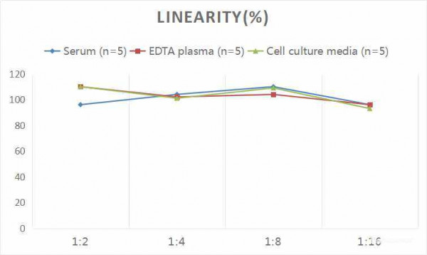 Rat PRL (Prolactin) CLIA Kit