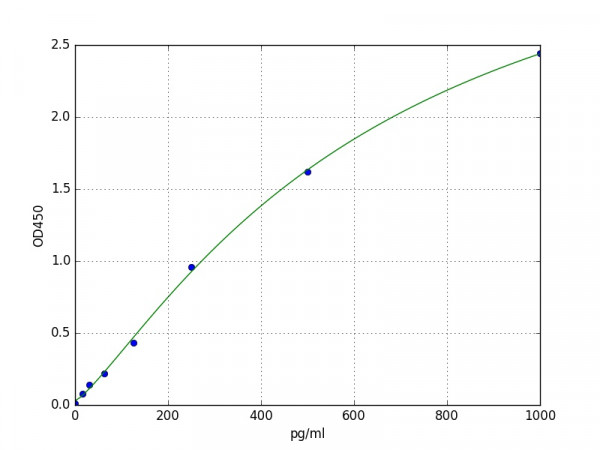 Human GPBB / PYGB ELISA Kit