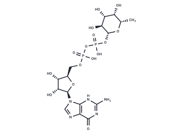 GDP-L-fucose