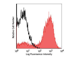 Anti-F4/80 Phycoerythrin Conjugated, clone BM8
