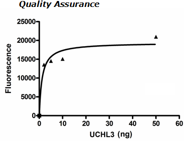 UCHL3 Active Human Recombinant Protein