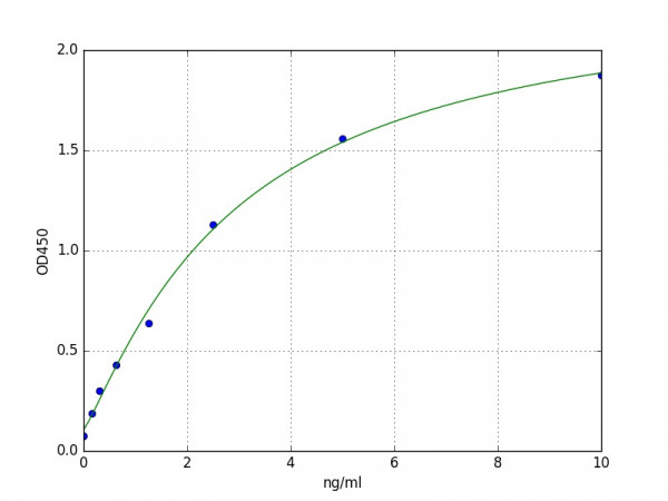 Human GBA3 / Cytosolic beta-glucosidase ELISA Kit