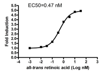 RARbeta Reporter Cellular Assay Pack