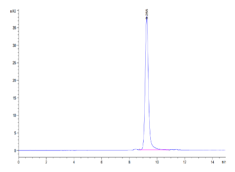 CCL24 hFc Chimera, Mouse