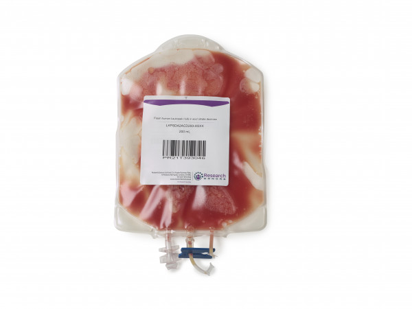 Fresh human leukopak in acid citrate dextrose (ACD) solution A - chilled overnight delivery