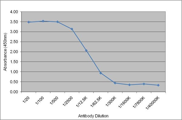 Anti-Lipoprotein Lipase (LPL), clone 5D2