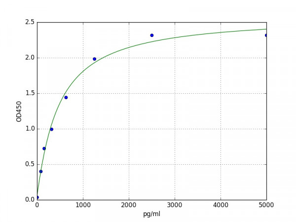 Human c-MAF / Transcription factor Maf ELISA Kit