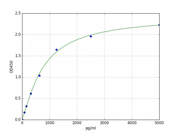 Human alpha Actinin 4 protein / ACTN4 ELISA Kit
