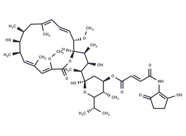 Bafilomycin B1