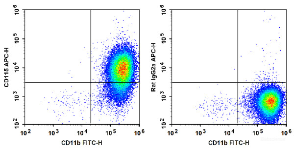 Anti-Mouse CD115, APC conjugated, clone AFS98