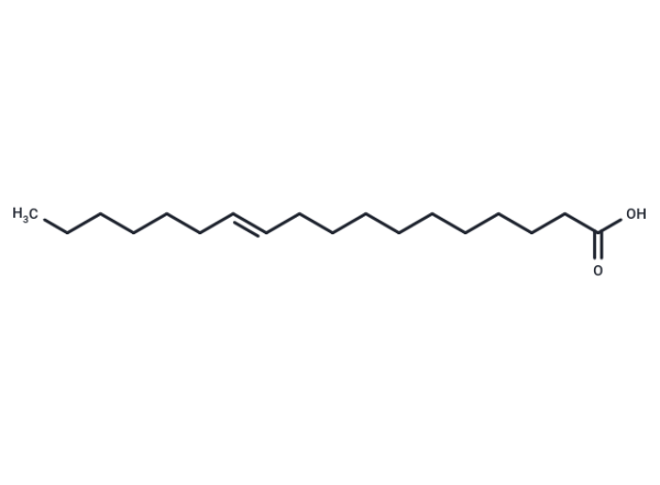 trans-Vaccenic acid