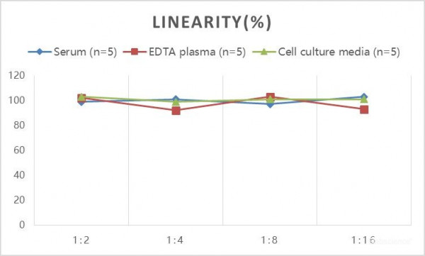 Rat IGFBP-3 (Insulin-Like Growth Factor Binding Protein 3) ELISA Kit