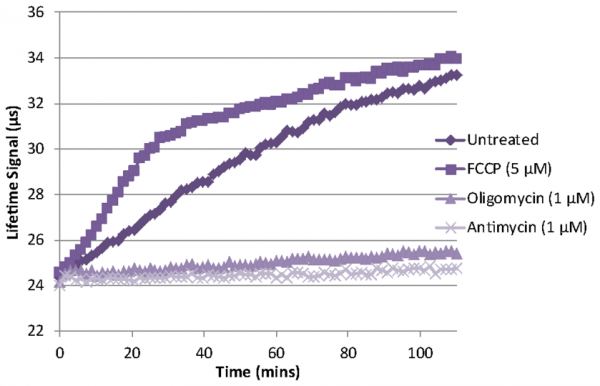 Oxygen Consumption Rate Assay Kit