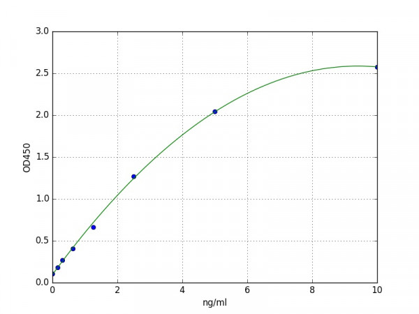 Human VASP / Vasodilator-stimulated phosphoprotein ELISA Kit