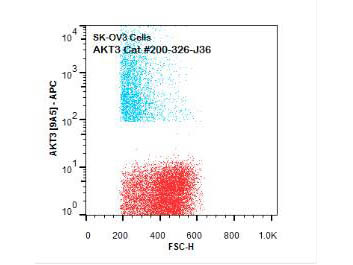 Anti-AKT3 Allophycocyanin Conjugated, clone 9A5.H9.G7