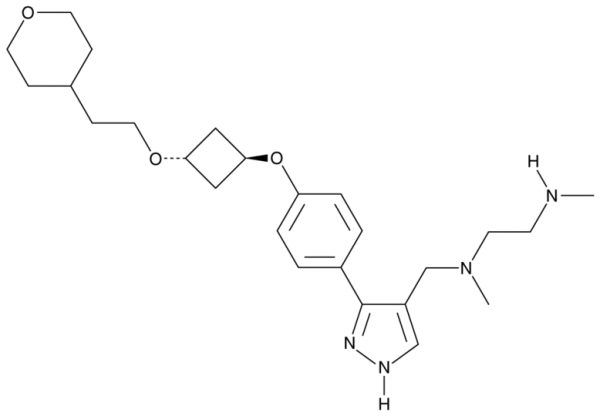 EPZ020411