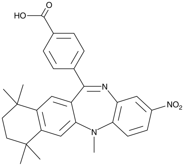 HX 531