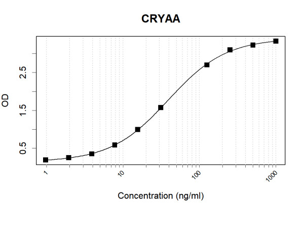 Anti-Human alpha A Crystallin Antibody Pair