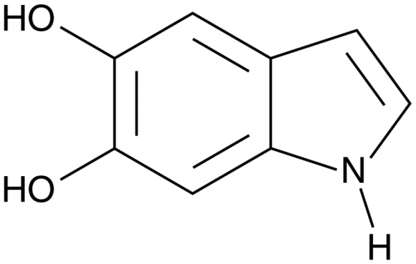 5,6-dihydroxy Indole