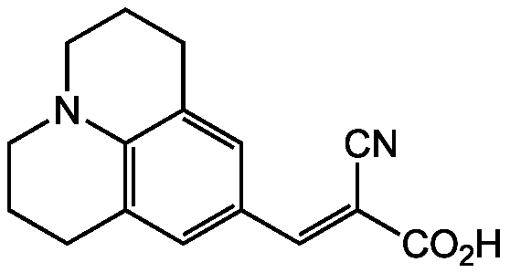 CCVJ