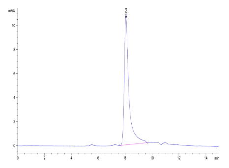 Oncostatin M/OSM[Biotin], His &amp; Avi, Human