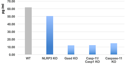 Gasdermin D (mouse) ELISA Kit