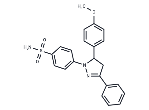 ML141