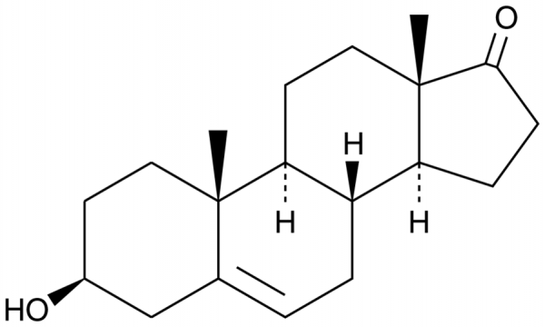 Dehydroepiandrosterone