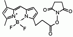 Bodi Fluor(TM) 488 SE [equivalent to Bodipy(R) FL, SE]