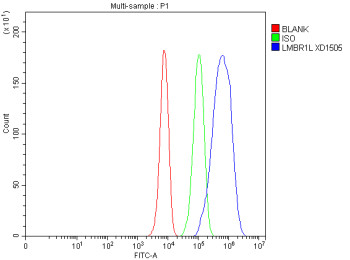 Anti-LMBR1L / Limb region 1 like protein