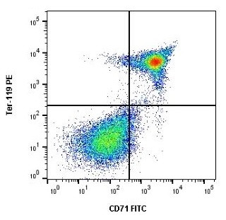 Anti-CD71 / Transferrin Receptor (FITC), clone 8D3