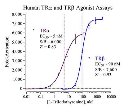 TR (human) Reporter Assays Panel