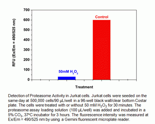 Amplite(TM) Fluorimetric Proteasome 20S Activity Assay Kit *Green Fluorescence*