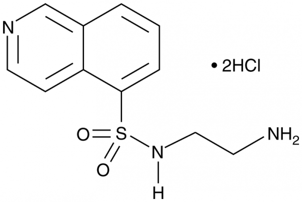 H-9 (hydrochloride)