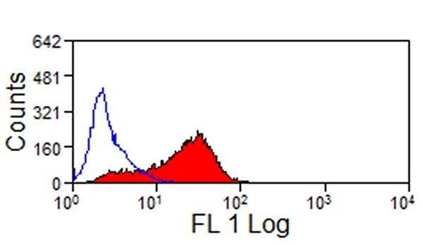 Anti-JAM-C [CRAM-18 F26] (FITC), clone CRAM-18 F26