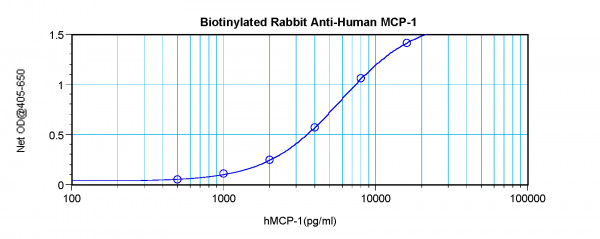 Anti-MCP-1 / CCL2 (Biotin)