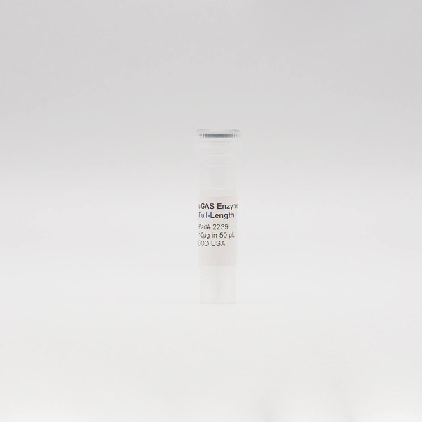 Recombinant cGAS Enzyme, Active, Mouse, Full-Length